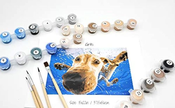 Squirrel Buster Paint by Numbers for Adults - Underwater Dogs Artist Photo Series Paint by Number Kit with Acrylic Paints, Brushes Canvas - Beginner DIY Painting by Numbers for Adults and Kids Discount