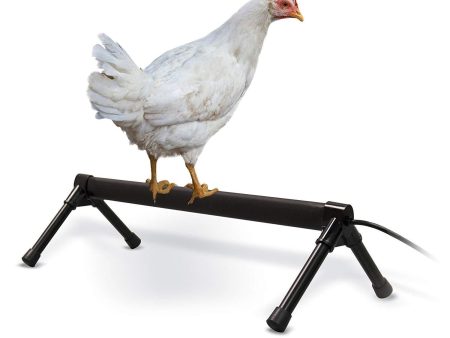 K&H Pet Products Thermo-Chicken Perch - Thermostatically Controlled Heated Chicken Perch on Sale