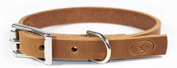 Paercute Small Dog Breed 3 4  Full Grain Thick Leather Dog Collar Online