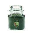 Yankee Candle Large Jar Candle, Balsam & Cedar Online