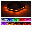 Blazin  Safety LED Dog Collar – USB Rechargeable with Water Resistant Flashing Light Discount