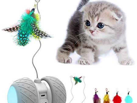 Ceenda Robotic Interactive Cat Toy, Attached with Feathers, Automatic Irregular Moving LED Light Ball Toys for Kitten Cats, All Floors Carpet Available, Large Capacity Battery, Upgraded USB Charging Online