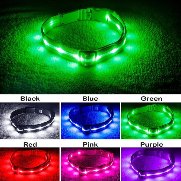 Blazin  Safety LED Dog Collar – USB Rechargeable with Water Resistant Flashing Light Discount