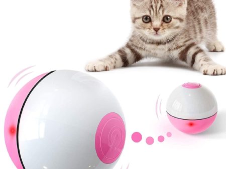 Ceenda Interactive Cat Toys Ball (4th Gen) Wicked Ball for Indoor Cats, Auto 360° Self-Rotating & USB Rechargeable with LED Red Light Toy for Cat Sale