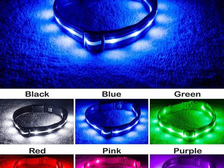 Blazin  Safety LED Dog Collar – USB Rechargeable with Water Resistant Flashing Light Discount