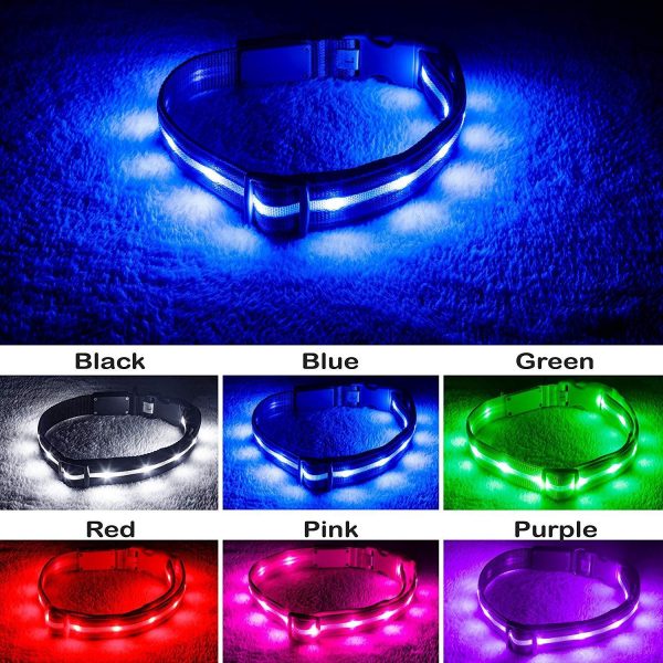 Blazin  Safety LED Dog Collar – USB Rechargeable with Water Resistant Flashing Light Discount