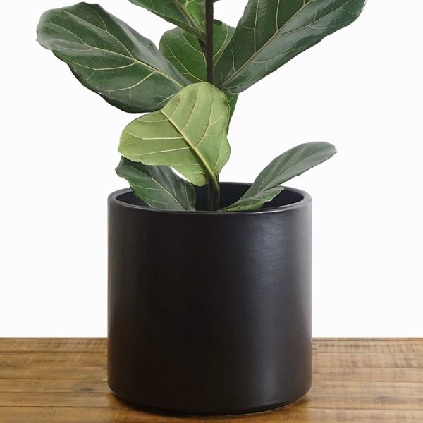 Indoor Flower Pot | Large Modern Planter, Terracotta Ceramic Plant Pot - Plant Container Great for Plant Stands (8.5 inch, Black) on Sale