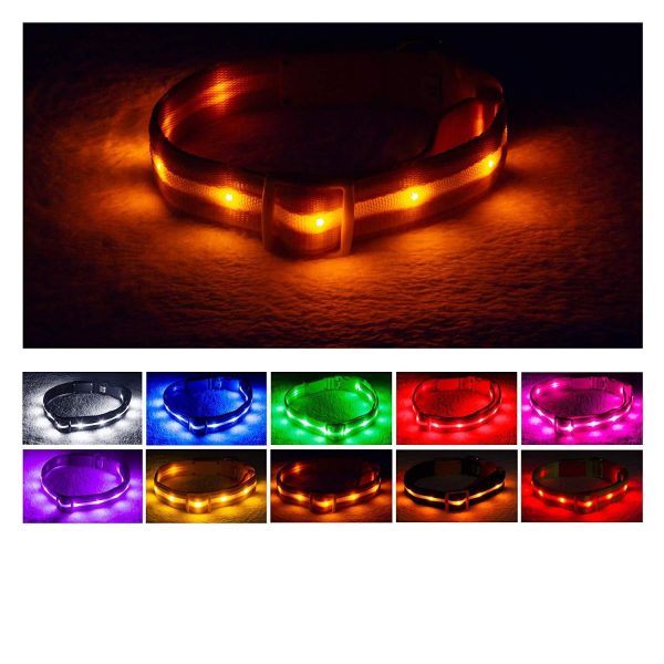 Blazin  Safety LED Dog Collar – USB Rechargeable with Water Resistant Flashing Light Discount