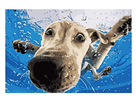 Squirrel Buster Paint by Numbers for Adults - Underwater Dogs Artist Photo Series Paint by Number Kit with Acrylic Paints, Brushes Canvas - Beginner DIY Painting by Numbers for Adults and Kids Discount