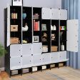 VINGLI Cube Storage Organizer, Plastic Closet Cabinet, DIY Plastic Modular Book Shelf Unit, Cube Shelves with Doors and Hanging Rods,12 Cubes on Sale