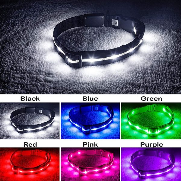 Blazin  Safety LED Dog Collar – USB Rechargeable with Water Resistant Flashing Light Discount