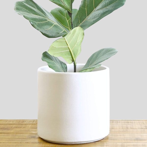 Indoor Flower Pot | Large Modern Planter, Terracotta Ceramic Plant Pot - Plant Container Great for Plant Stands (8.5 inch, Black) on Sale