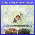 Wild Birds of Joy  Window Bird Feeders with 4 Extra Strong Suction Cups, Large Outdoor Bird House for Cardinals Bluebird Chickadees etc. Online Sale