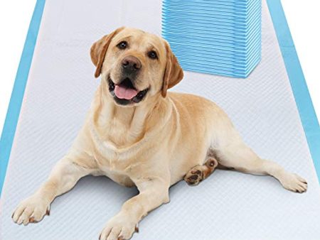 Gimars XL 28 x34  Thicker Heavy Absorbency Pet Training Puppy Pee Pads - Extra Large Disposable Polymer Quick Dry No Leaking Pee Pads for Dogs, Cats, Rabbits and Other House Training Pets, 30 count Online now