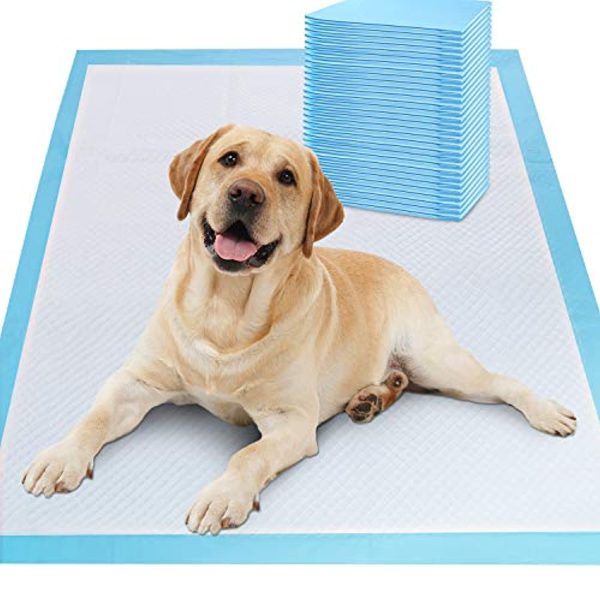 Gimars XL 28 x34  Thicker Heavy Absorbency Pet Training Puppy Pee Pads - Extra Large Disposable Polymer Quick Dry No Leaking Pee Pads for Dogs, Cats, Rabbits and Other House Training Pets, 30 count Online now