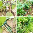 UltraOutlet 6 Pack 15.8 Inch Plant Stakes and Supports for Gardening, Metal Plant Support Ring, Plant Cage, Plant Support for Tomato, Peony, Vine on Sale