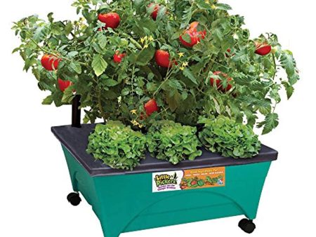 Emsco Group 2360 Little Pickers Raised Bed Children’s Improved Aeration – Mobile Unit with Casters – Teaches Kids Self Watering Grow Box, Teal Online now