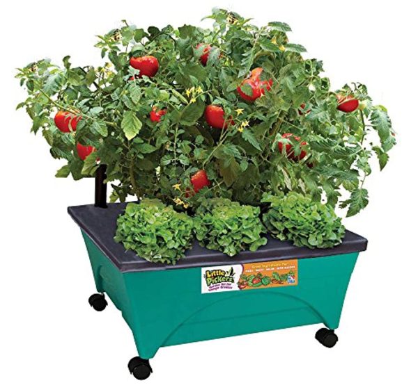 Emsco Group 2360 Little Pickers Raised Bed Children’s Improved Aeration – Mobile Unit with Casters – Teaches Kids Self Watering Grow Box, Teal Online now