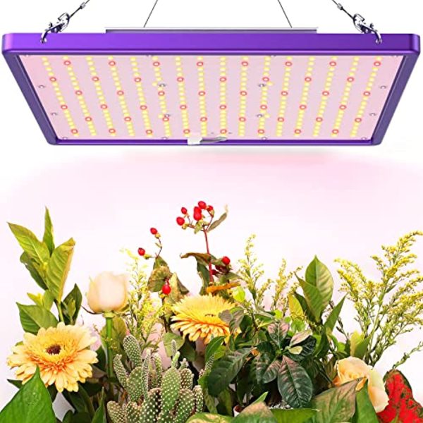 XINLEO  LED Grow Light, HL1200 Dimmable Full Spectrum LED Grow Lights for Indoor Plants, 2x2ft Coverage Pant Lights, 120W LED Growing lamp, 4000K, 288LEDs, UL-Listed, Purple Hot on Sale