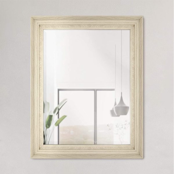 Trvone Ezra Wall Mirror, Brushed Nickel, 22.66 x 28.66 in Online