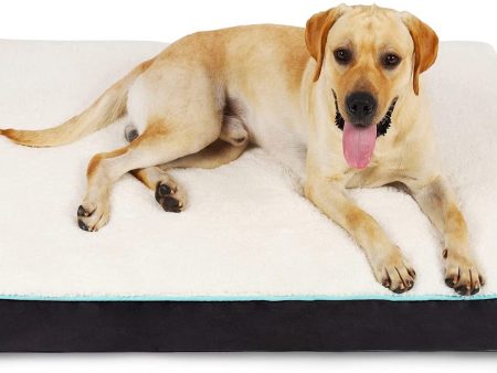 EDUJIN Egg Crate Foam Dog Bed - Orthopedic Rectangle Pet Bed with Removable Washable Cover - Soft Anti Slip Pad Mat Online Sale