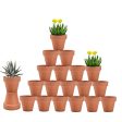 Vensovo  3 Inch Terra Cotta Pots with Drainage - 20 Pack Clay Flower Pots, Succulent Nursery Pots Great for Plants, Crafts, Wedding Favor For Discount