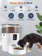 Lewondr 7L Automatic Cat Feeder With APP Control, 2.4G WiFi Enabled Dog Auto Dry Food Dispenser With Locking buckle Lid,up to 10 Meals and 12 Portion Control Daily, 10S Voice Recorde for Dogs and Cats on Sale