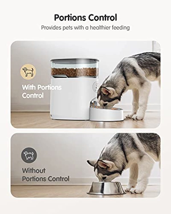 Faroro Automatic Cat Feeder with Timer and Portion Control Cat Food Dispenser with Stainless Steel Bowl, Desiccant Bag and Voice Recorder Up to 6 Meals per Day for Multiple Cats and Small Dogs (4L) Hot on Sale