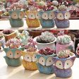 Winemana Set of 4 Ceramic Succulent Pots, Fox Shaped Flowerpot, Colorful Bonsai Planter Container Online