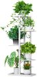 WEENINE Flower Plant Stand Indoor 5 Tier Metal Plant Stand Flower Pots Stander Display Pots Holder (Black) Online