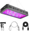 XINLEO GLLEDXA300C 300W LED Grow Light Full Spectrum for Indoor Plants Veg and Flower For Sale