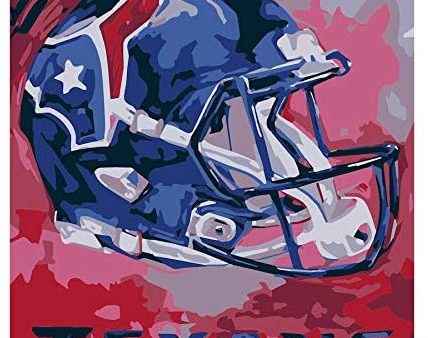 Aizmei  Denver Broncos - Team Pride Paint by Numbers Art Kit For Sale