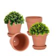 Vensovo  6 Inch Clay Pot for Plant with Saucer - 4 Pack Large Terra Cotta Plant Pot with Drainage Hole, Flower Pot with Tray, Terracotta Pot for Indoor Outdoor Plant Online Sale